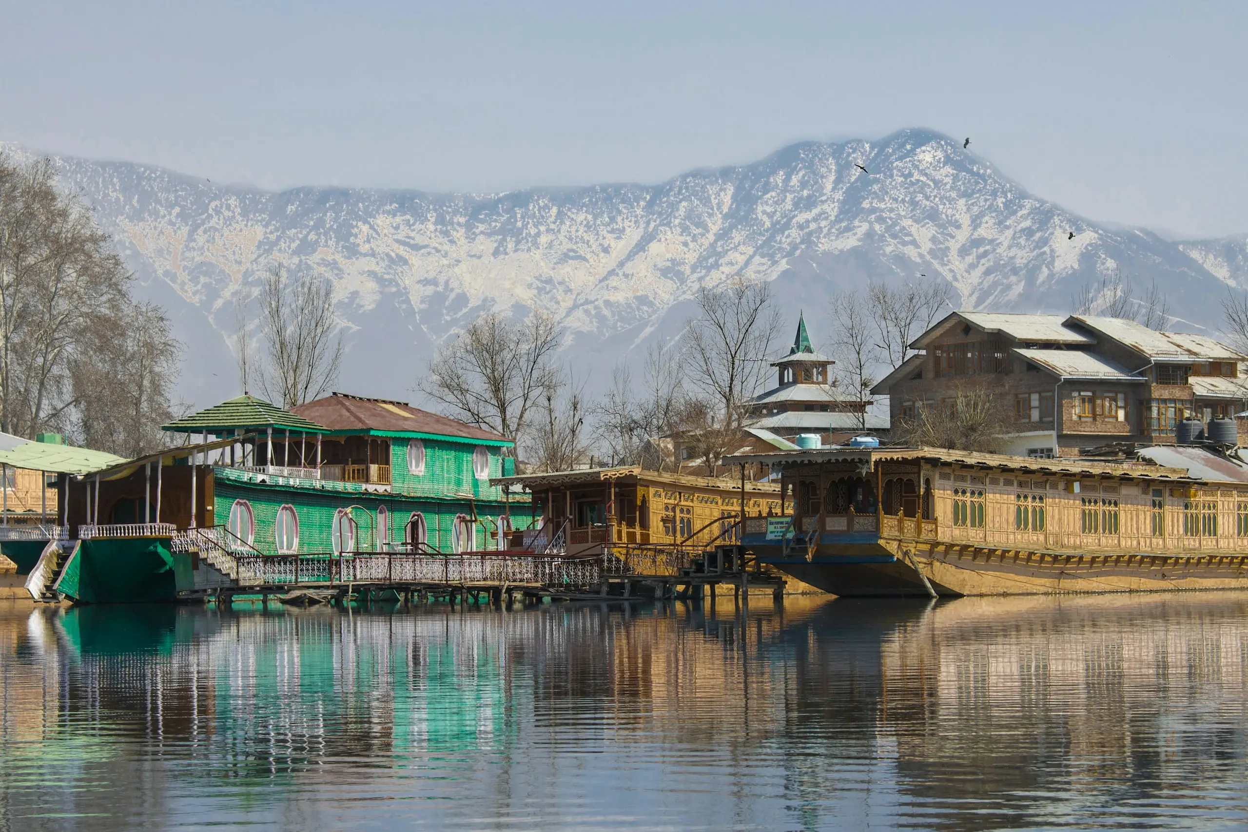 Traditional houseboats on Dal Lake with snow-capped mountains behind