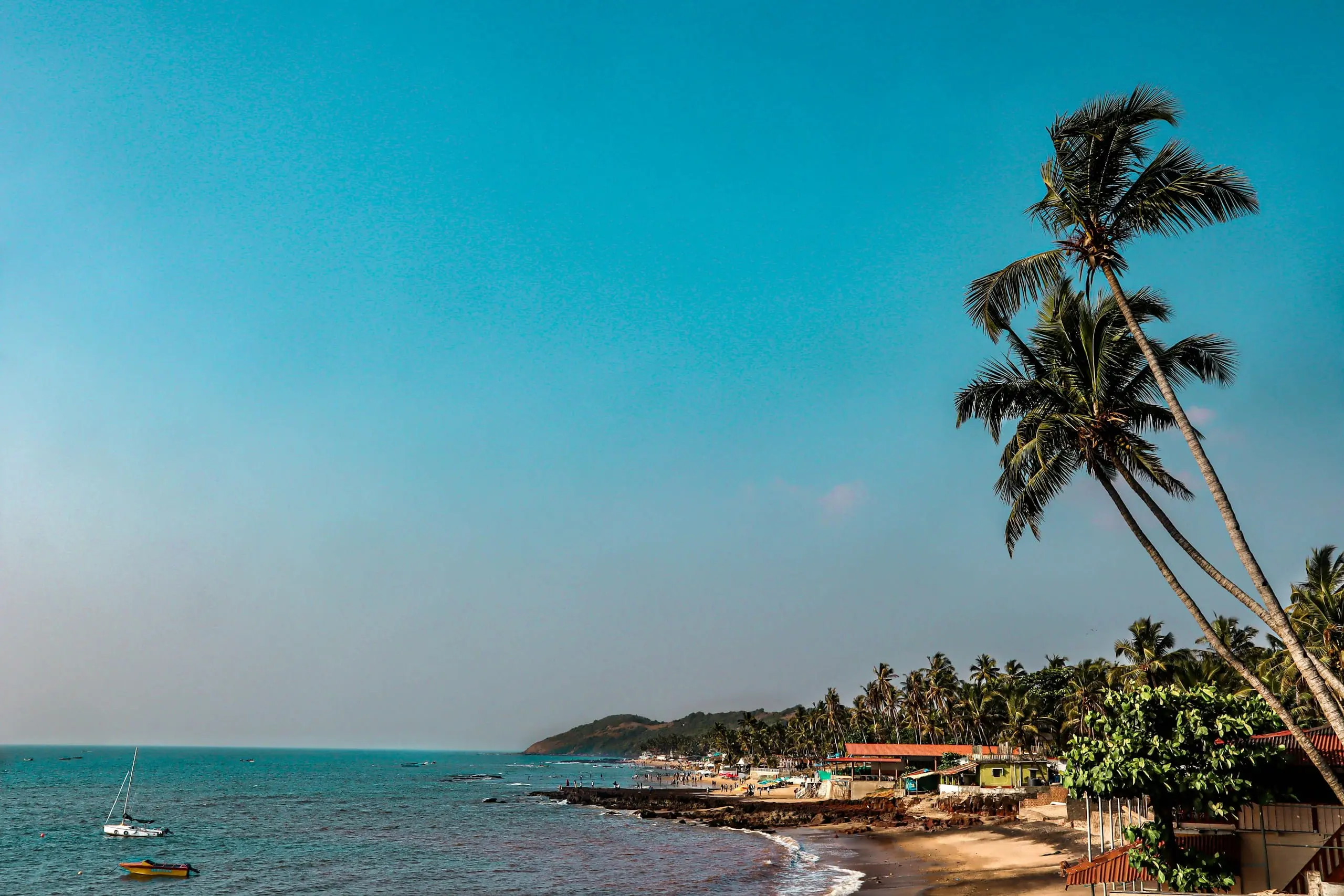 Coconut palms against a blue sky