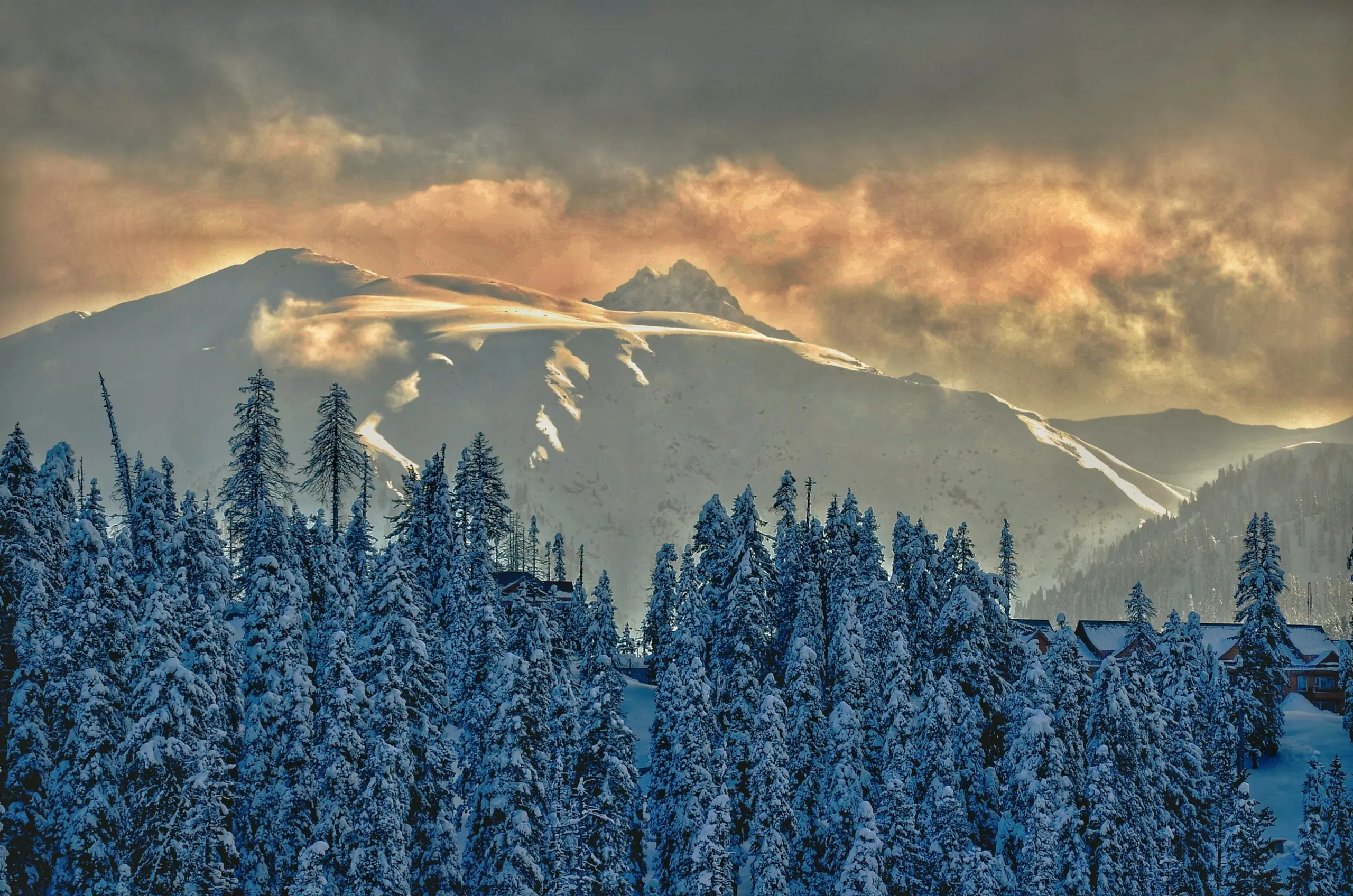 Snow-laden pine forest beneath golden-lit Himalayan peaks